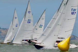 A group of sailboats in the water on a sunny day.